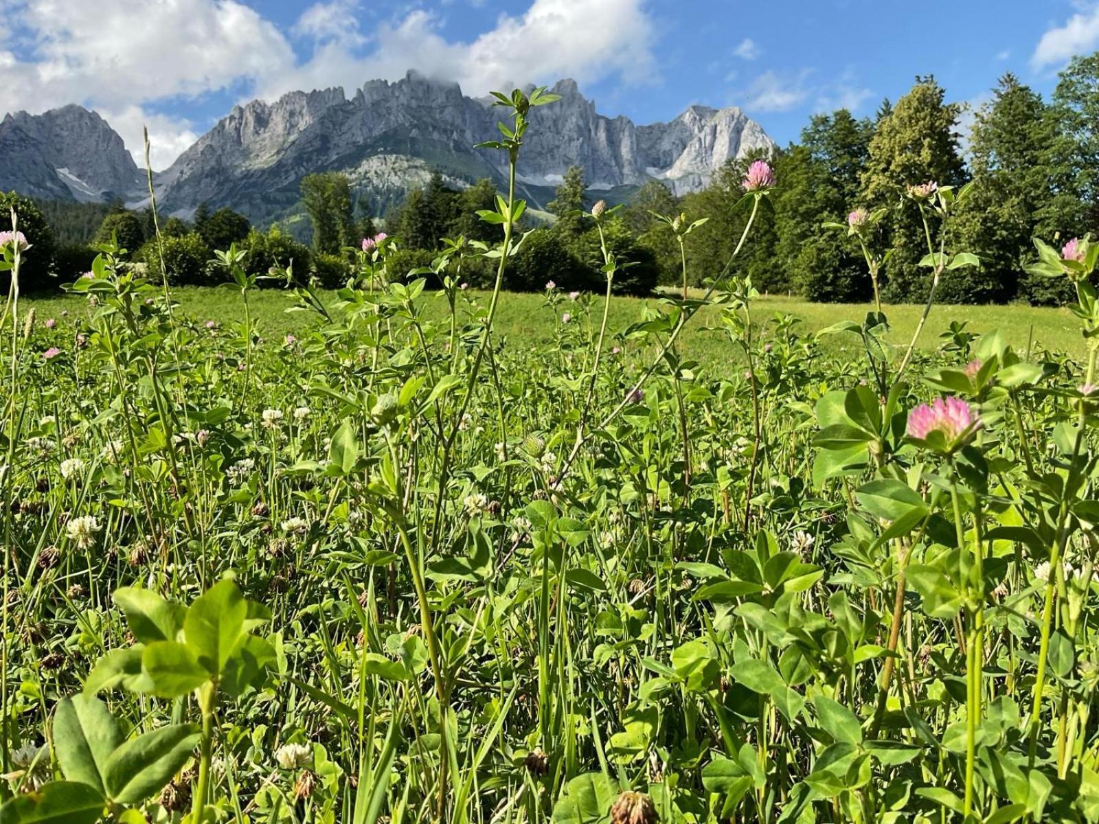 Chalet Belle Kitz By Belle Stay Kitzbuhel Luaran gambar